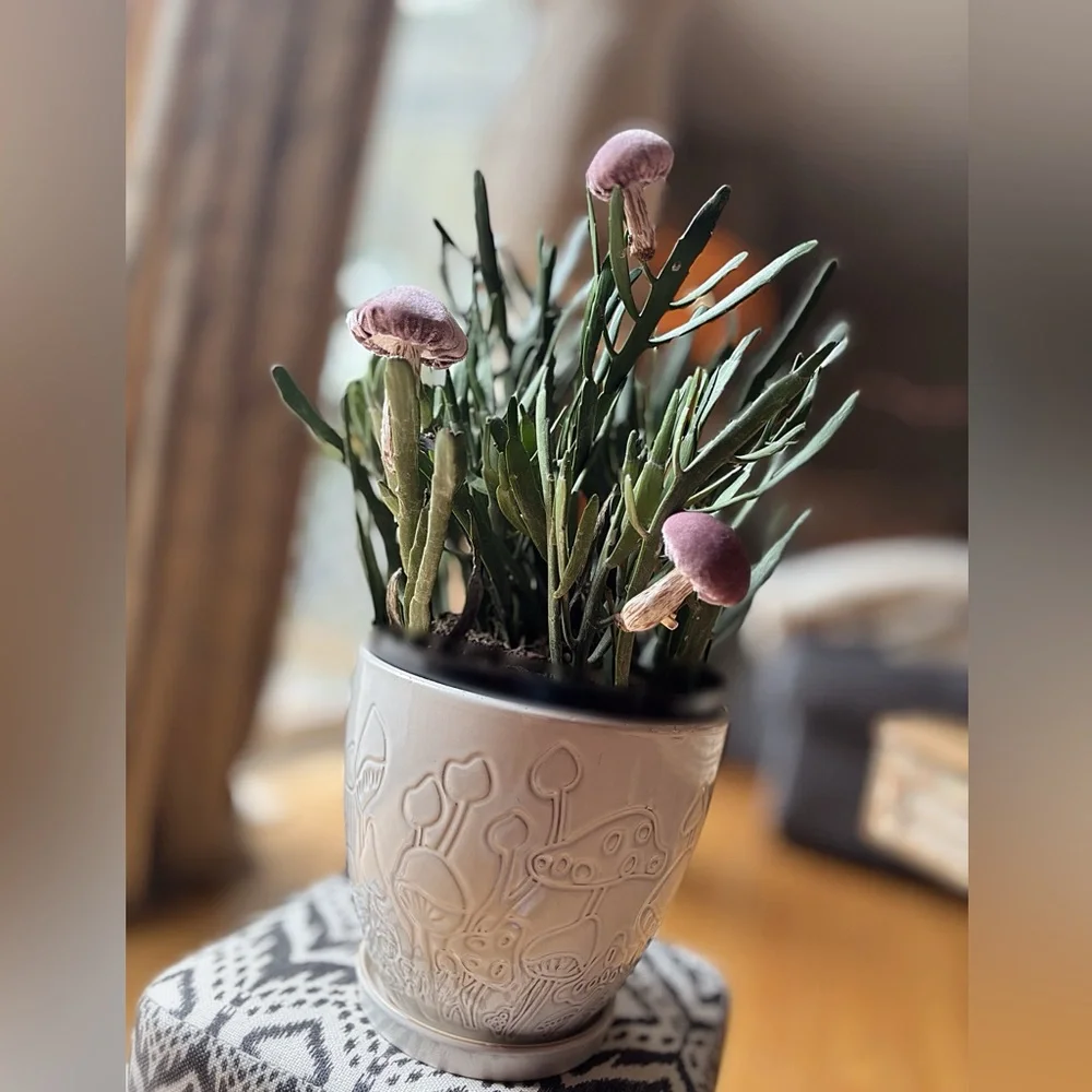 Mushrooms Plant Accessories